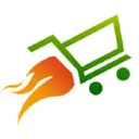 Sellfire logo