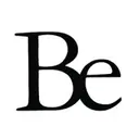 Be Shaping The Future logo