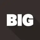 Big Partners logo