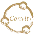 Convit Holding Gmbh logo