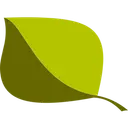 Drivers Direct Onlinellc logo