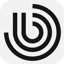 Brightscout logo