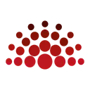 Hana Group logo