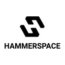 Hammerspace logo